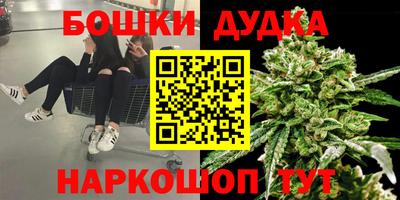 сатива Нарткала