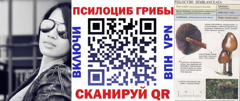 Галлюциногенные грибы Psilocybe  где можно купить наркотик  Таганрог 